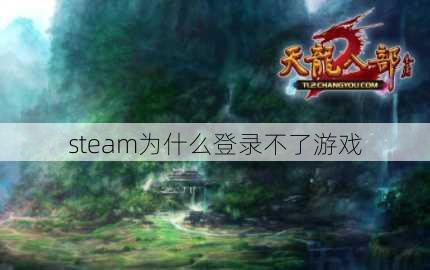 steam为什么登录不了游戏